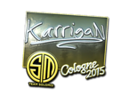 karrigan (Foil) | Boston 2018 image